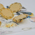Button - Gold Vanilla Petal - 25mm